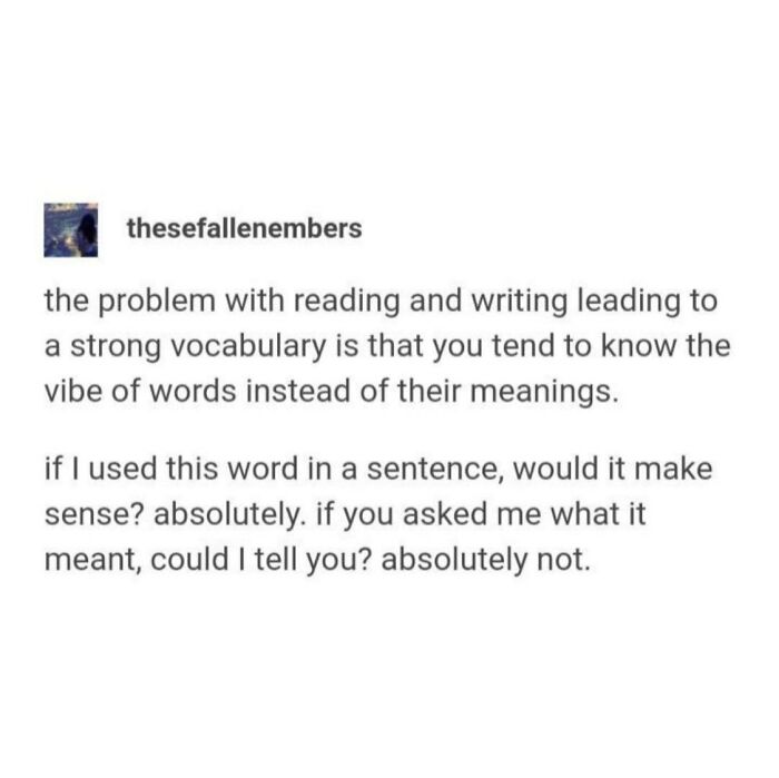 A Serotonin Meme showing a text post about knowing the vibe of words but not their true meanings.