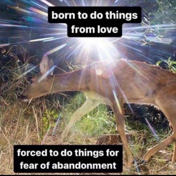 A serotonin meme showing a deer in a field with text, born to do things from love and forced to do things for fear of abandonment.