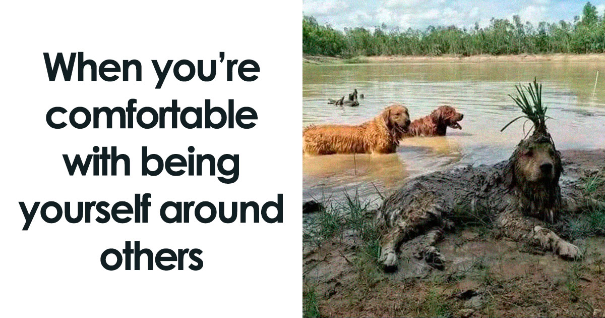 79 Delightfully Funny Animal Memes To Fix Your Mood