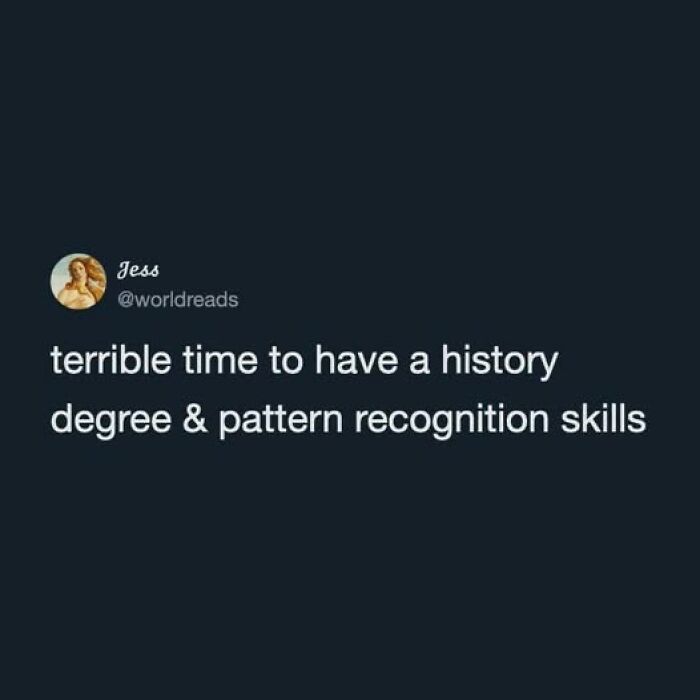 Funny tweet about having a history degree and pattern recognition skills, implying life is unhinged.