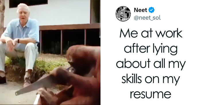 90 Posts That Perfectly Capture The Beautiful Absurdity Of Having A Job