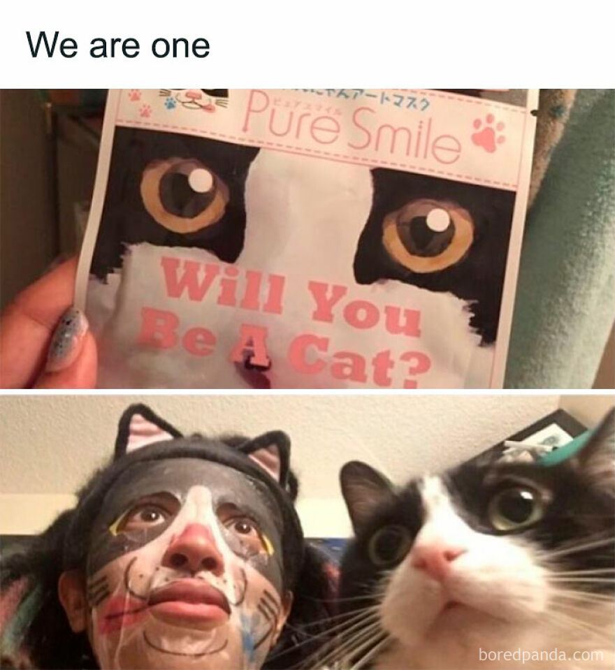 A two-panel image showing a face mask package that says Will You Be A Cat? above a person wearing a cat-themed face mask next to a real cat, looking weird.