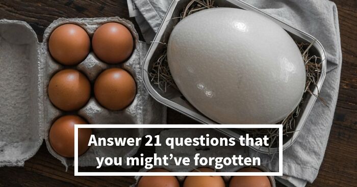 Most Kids Know The Answers To These 21 Questions – See If You Still Remember