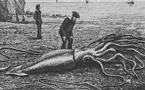 The Terrifying Ocean Monster That Scientists Cannot Catch, Study, Or Stop Thinking About