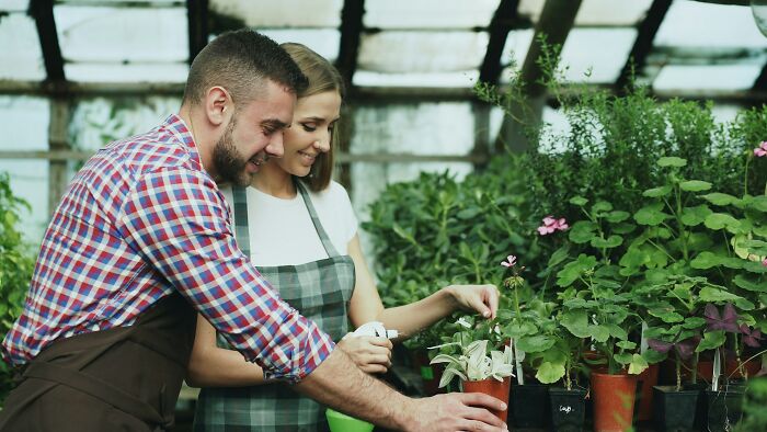 42 So-Called Green Flags That Should Actually Raise Concern