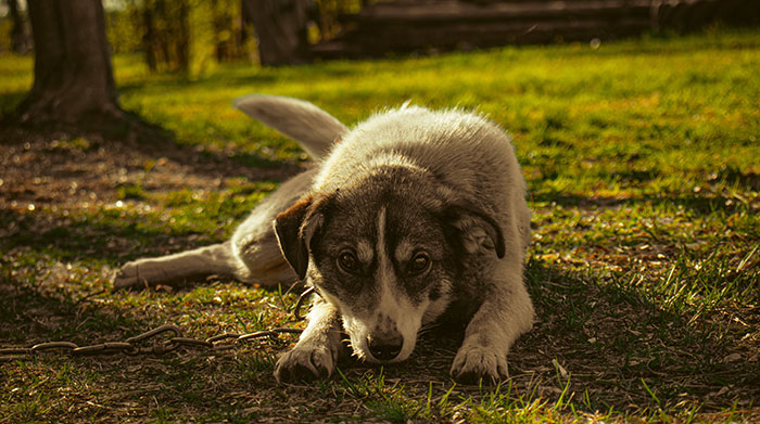 56 People Confess The Sweet Little Secrets Nobody In Their Lives Knows About