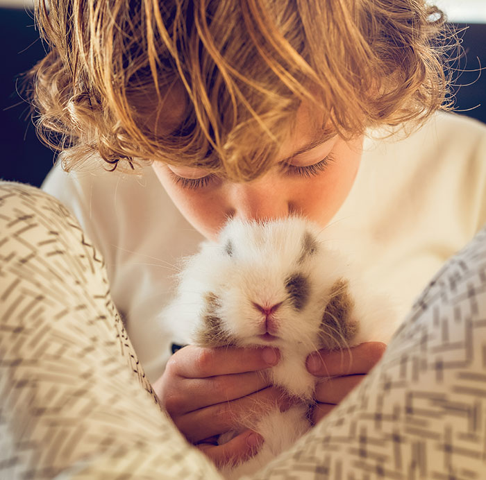 A child gently holding a fluffy white and brown bunny, a heartwarming moment of harmless secrets.