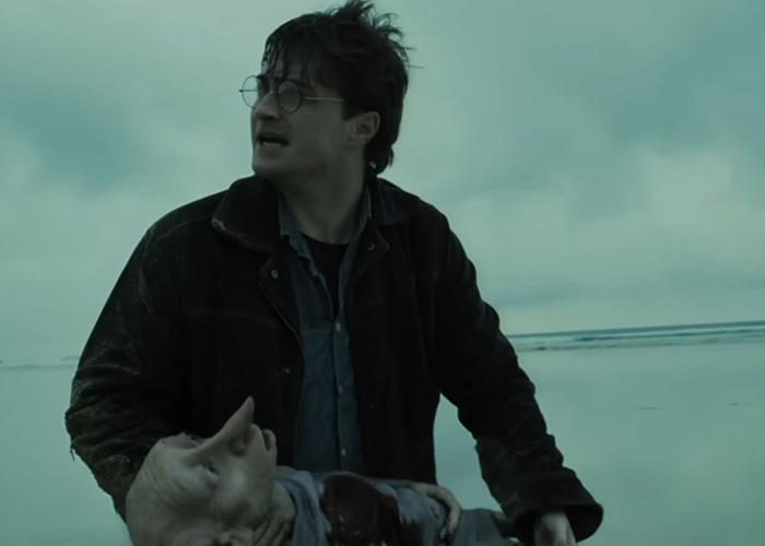 Harry Potter holding Dobby on a beach, a poignant moment highlighting the impact on Harry Potter fans.