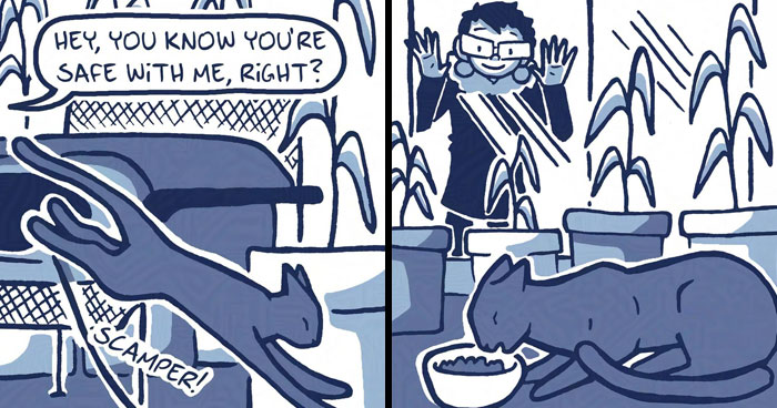 Artist Captured The Real-Life Story Of Adopting A Stray Cat In Funny, Heartwarming Comics