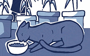 Artist Turned The Story Of A Stray Cat She Adopted Into A Charming Comic Series