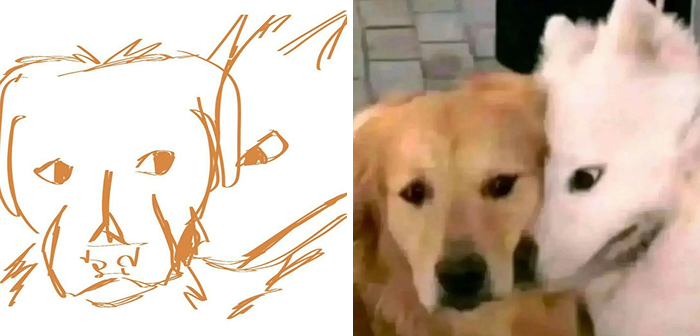 A quick sketch of two dogs next to a blurred photo of two dogs; internet finds lost pets.