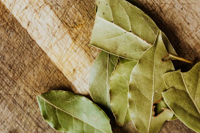 Close-up of dried bay leaves on a wooden cutting board, representing harmless-looking things that can be way more dangerous.