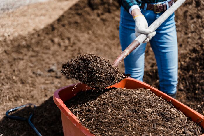 A person shoveling dirt into a wheelbarrow, highlighting harmless-looking things that can be way more dangerous.