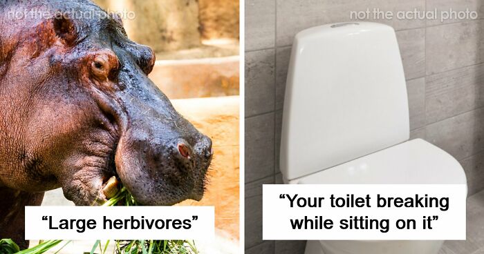 43 Dangerous Things People Were Shocked Nobody Had Warned Them About