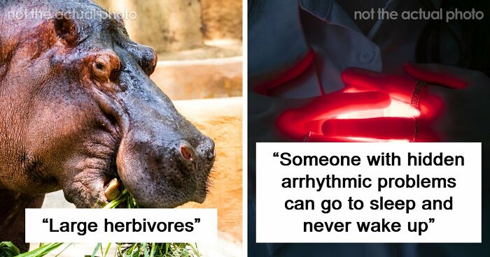 43 Harmless-Looking Things That Can Be Way More Dangerous Than People Realize