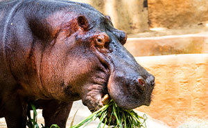 43 Harmless-Looking Things That Can Be Way More Dangerous Than People Realize