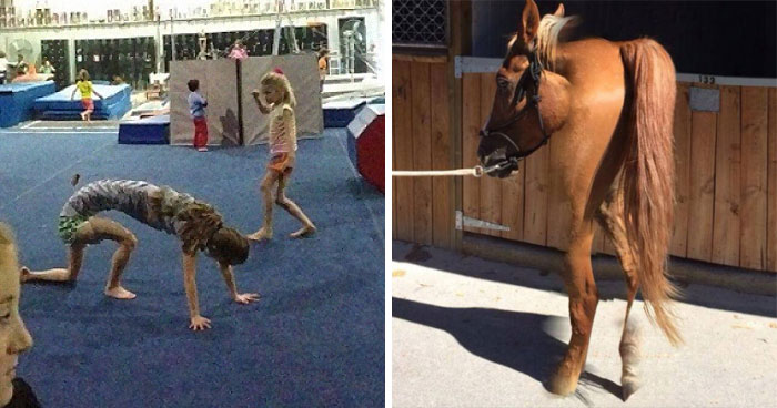 92 Spectacular Panoramic Photo Fails That Are Actually Better Than What Was Originally Intended