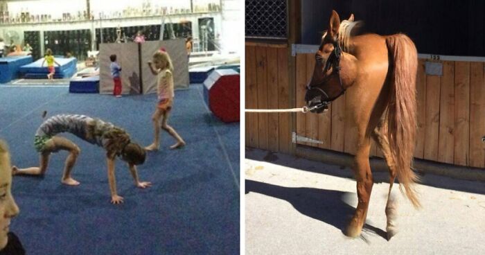 92 Hilarious Panoramic Photo Fails That Also Are Kind Of Horrifying