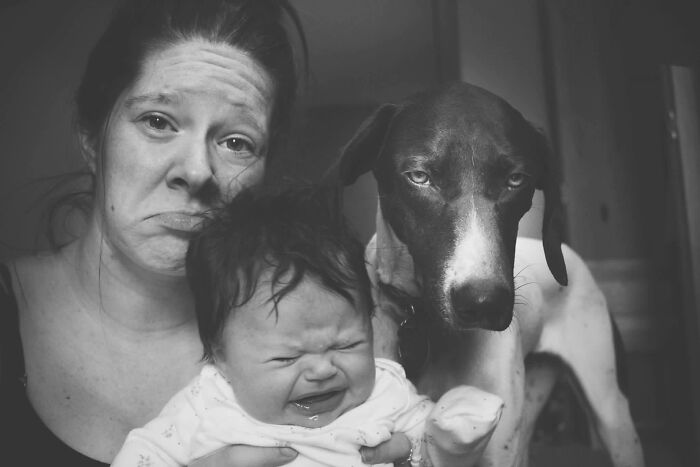A black and white image of a crying baby, a mom making a sad face, and a dog, highlighting that motherhood is not easy.