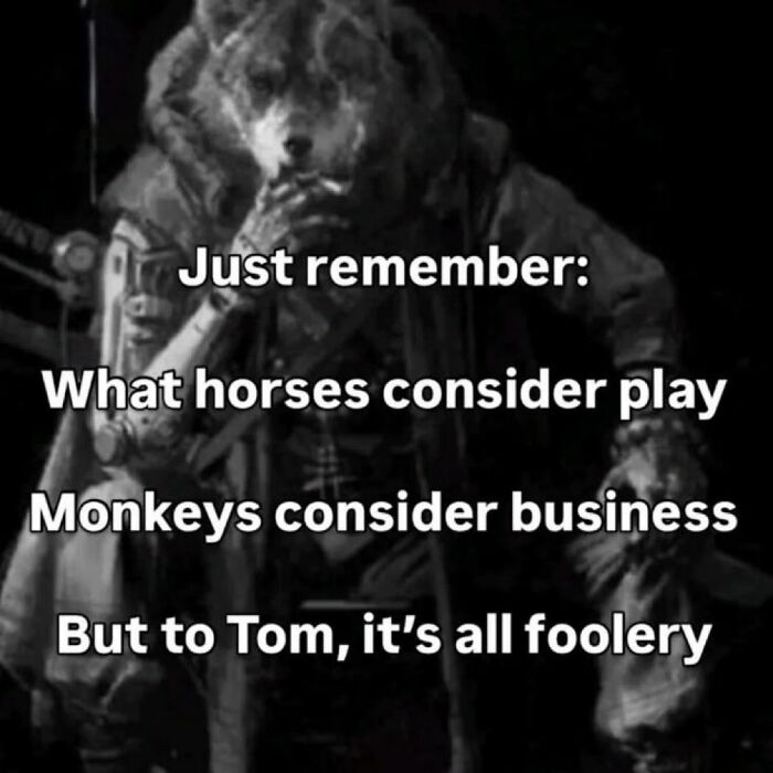 A funny meme shows text about horses, monkeys, and Tom, with a wolf-like figure in the background.