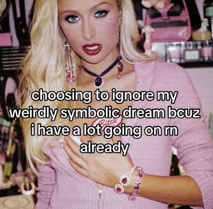 A funny meme featuring Paris Hilton with text about ignoring a symbolic dream due to being busy.