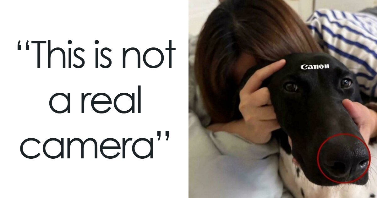 “My Emotional Support Toilet Paper Roll”: 77 Funny Pics So Unremarkable They’re Actually Art