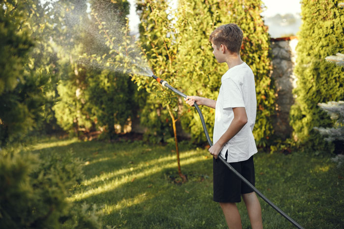 A young boy watering plants in a garden, unaware of the pool drama or his brother's new hot tub plan. A young boy watering plants in a garden, unaware of the pool drama or his brother's new hot tub plan.