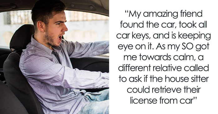 Couple’s Vacation Turns Into A Nightmare After 19YO Housesitter Totals The Car And Loses Their Cat