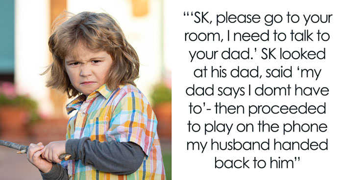 Stepson Keeps Bullying Woman’s 5YO, Dad Calls It “Boys Being Boys”, She Kicks Them Both Out