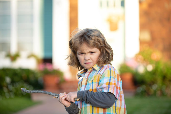 Stepson Keeps Bullying Woman’s 5YO, Dad Calls It “Boys Being Boys”, She Kicks Them Both Out Stepson Keeps Bullying Woman’s 5YO, Dad Calls It “Boys Being Boys”, She Kicks Them Both Out
