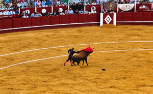 I Went To A Bullfight In Málaga And Left With More Questions Than I Arrived With