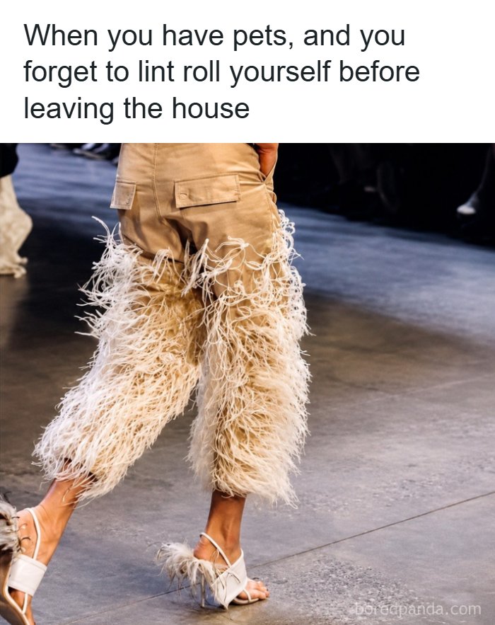 A meme queen post showing a person in fluffy pants, representing pet hair before leaving the house.