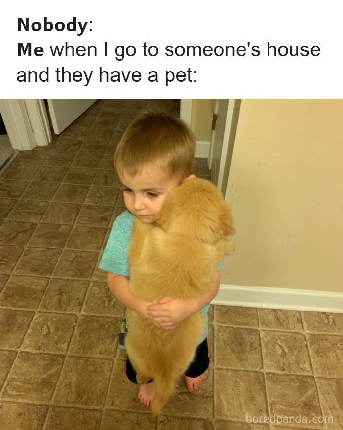 A small child hugging a golden retriever puppy, an adorable animal meme moment.