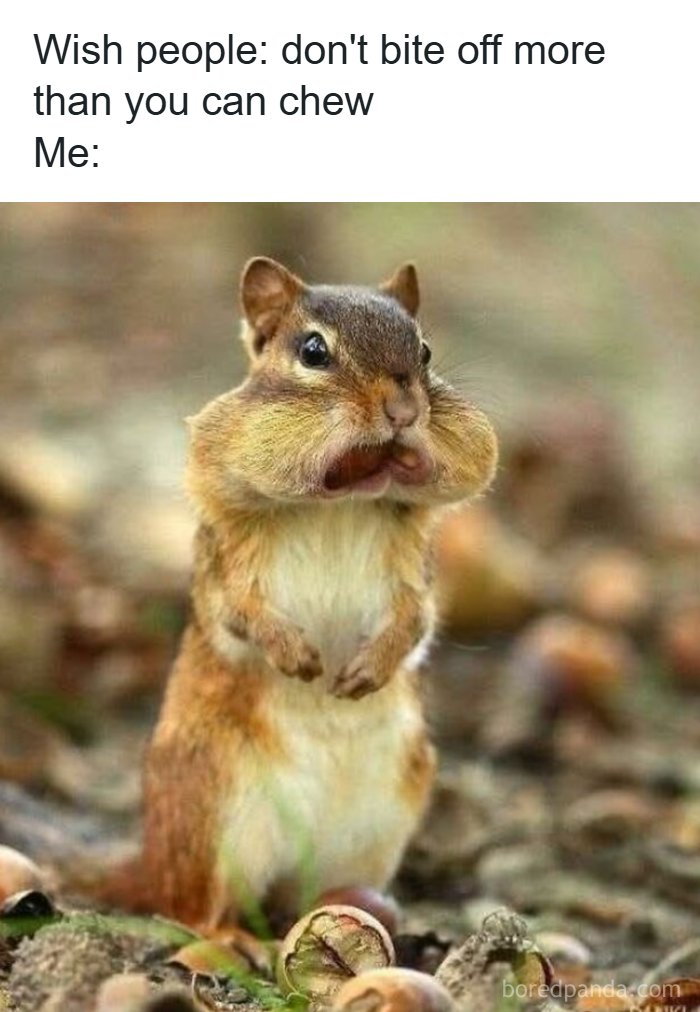 A chipmunk with puffed cheeks, holding nuts, creating a humorous animal meme.
