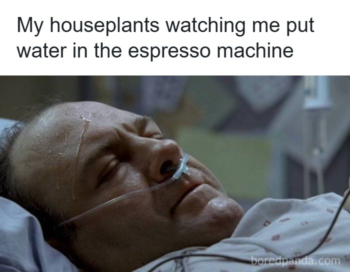 A Meme Queen image showing a man in a hospital bed with the text 'My houseplants watching me put water in the espresso machine', a relatable Meme Queen moment.