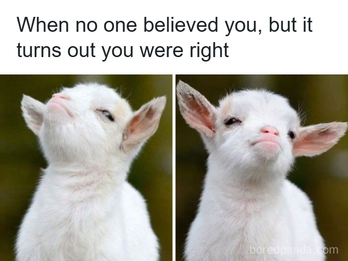 An adorable animal meme showing a baby goat with a smug expression, looking satisfied.