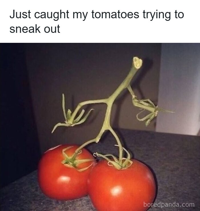 75 Funny Pictures That Somehow Keep Getting Weirder By The Second