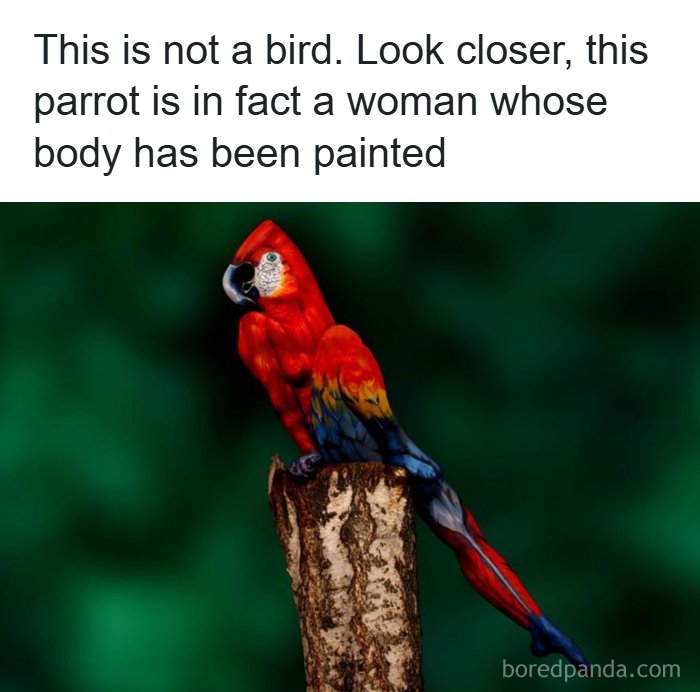 A fascinating find: an optical illusion of a woman painted to look like a parrot perched on a tree stump.