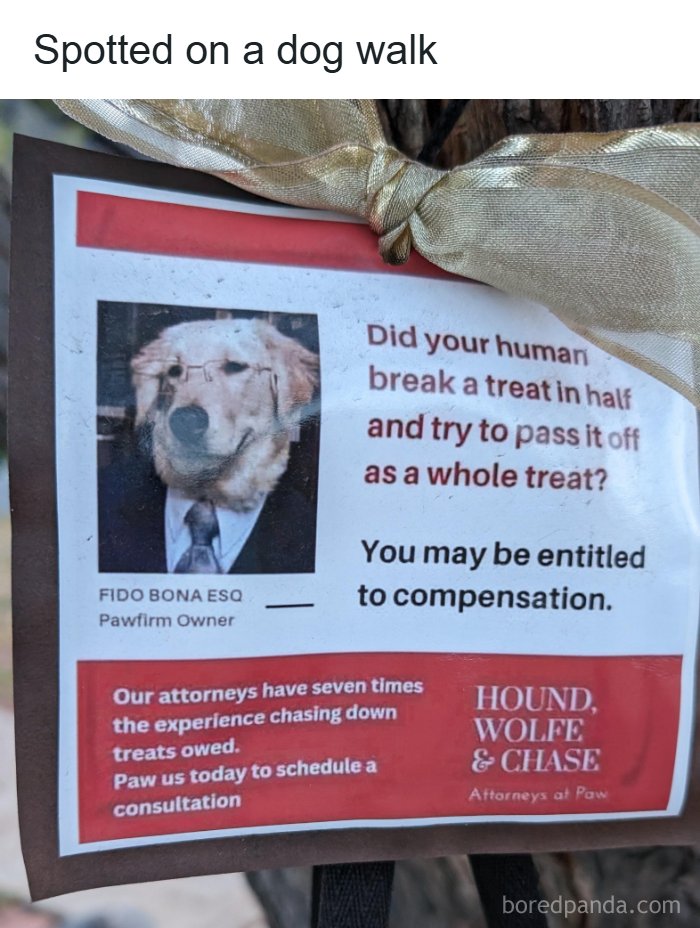 A funny animal meme with a flyer for a dog lawyer, Fido Bona Esq., offering compensation for split treats.
