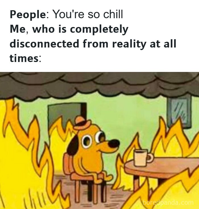A 'Meme Queen' post featuring the 'This is Fine' dog meme, representing being disconnected from reality.