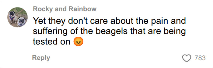 A social media comment discusses the suffering of beagles, dog breeds that may be banned in the UK. A social media comment discusses the suffering of beagles, dog breeds that may be banned in the UK.