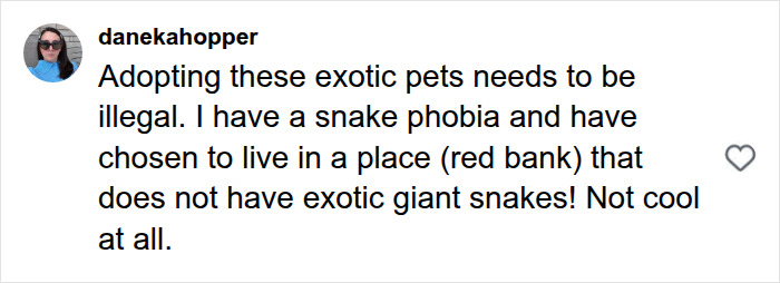 X-ray of a massive python revealing its last meal, found under a New Jersey family's shed.