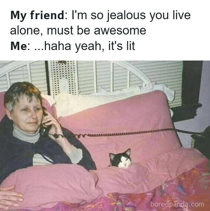 A Meme Queen image of a woman on the phone in bed, with a cat peeking from under the covers.