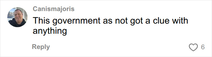 A social media comment stating the government is clueless about banning dog breeds. A social media comment stating the government is clueless about banning dog breeds.