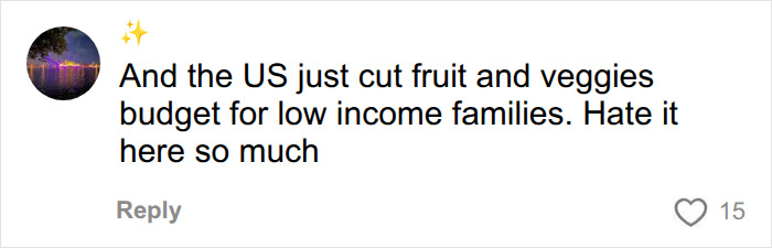 A comment criticizing the USA for cutting fruit and veggie budgets for low-income families regarding school lunch. A comment criticizing the USA for cutting fruit and veggie budgets for low-income families regarding school lunch.