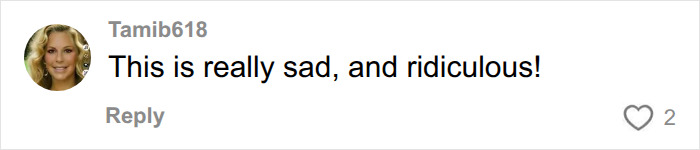 A comment by Tamib618 stating, This is really sad, and ridiculous!, about the pool confrontation. A comment by Tamib618 stating, This is really sad, and ridiculous!, about the pool confrontation.