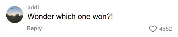 An online comment from 'addi' asking 'Wonder which one won?!' about the Bonnie Blue 'Minging' event. An online comment from 'addi' asking 'Wonder which one won?!' about the Bonnie Blue 'Minging' event.