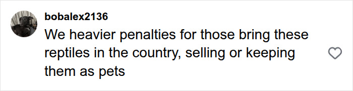 A social media comment from 'bobalex2136' says: We heavier penalties for those bring these reptiles in the country, selling or keeping them as pets, referencing the massive python.
