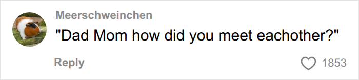 An online comment from 'Meerschweinchen' humorously referencing how parents met, in relation to the Bonnie Blue 'Minging' event. An online comment from 'Meerschweinchen' humorously referencing how parents met, in relation to the Bonnie Blue 'Minging' event.