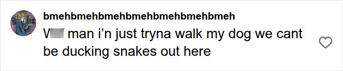 A social media comment from 'bmehbmehbmehbmehbmehbmehbmehbmeh' says: V man i'n just tryna walk my dog we cant be ducking snakes out here, referencing the massive python.